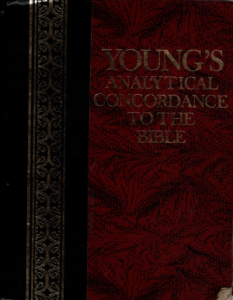 Youngs Analytical Concordance to the Bible(二手)